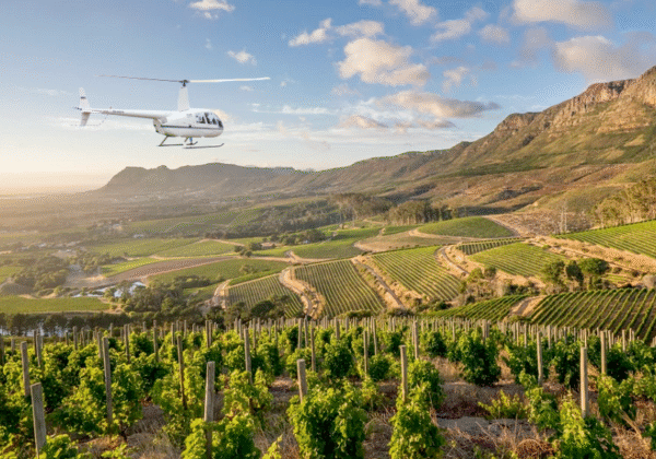 Lanzerac Lunch Experience