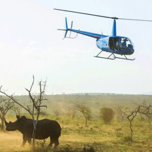 rhino911 conservation