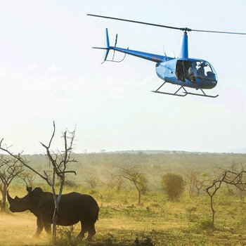 rhino911 conservation